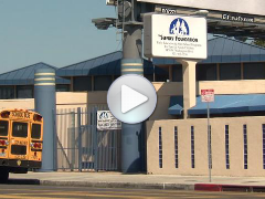 The Jeffrey Foundation